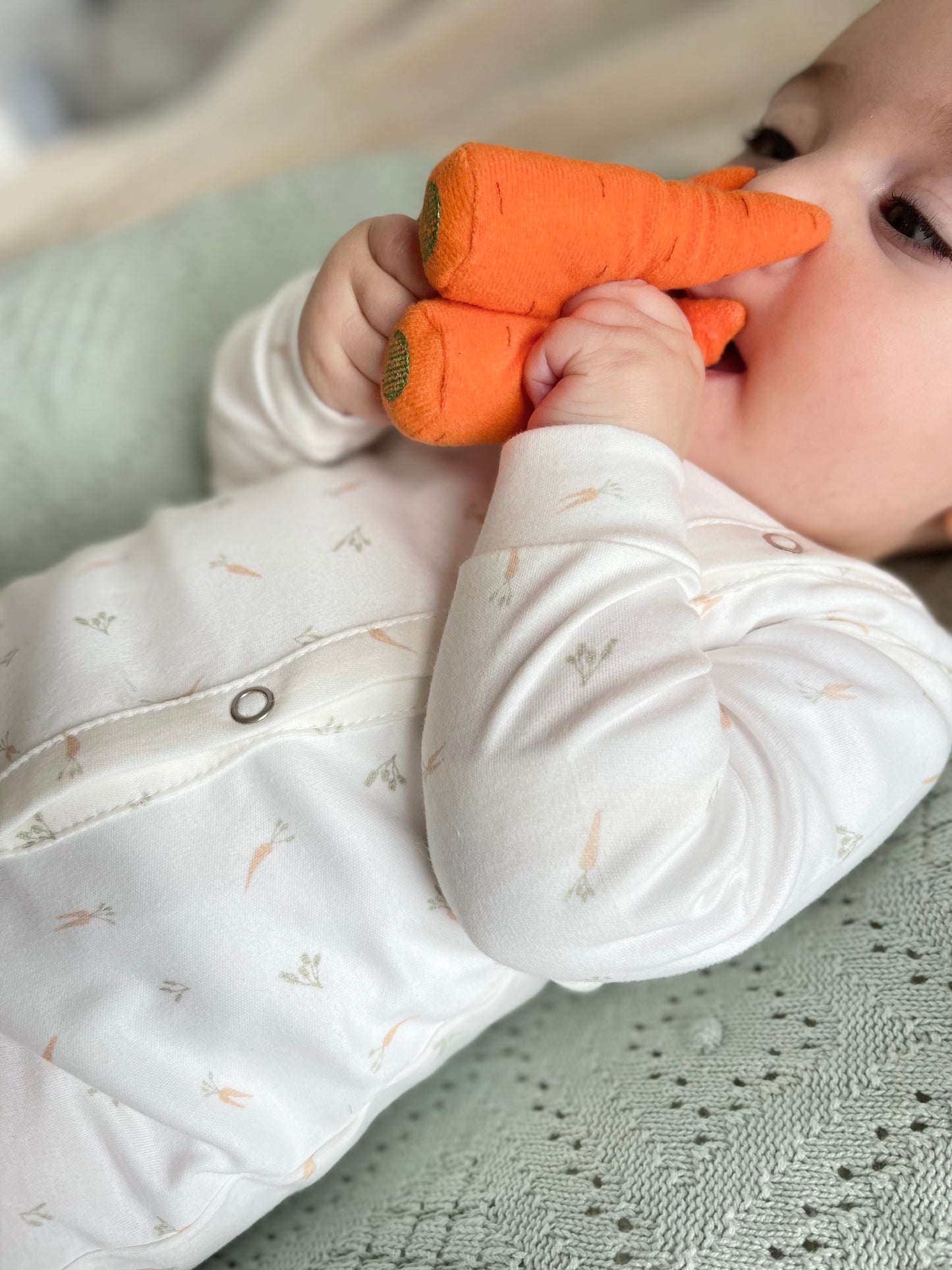 KAI FOOT Carrots