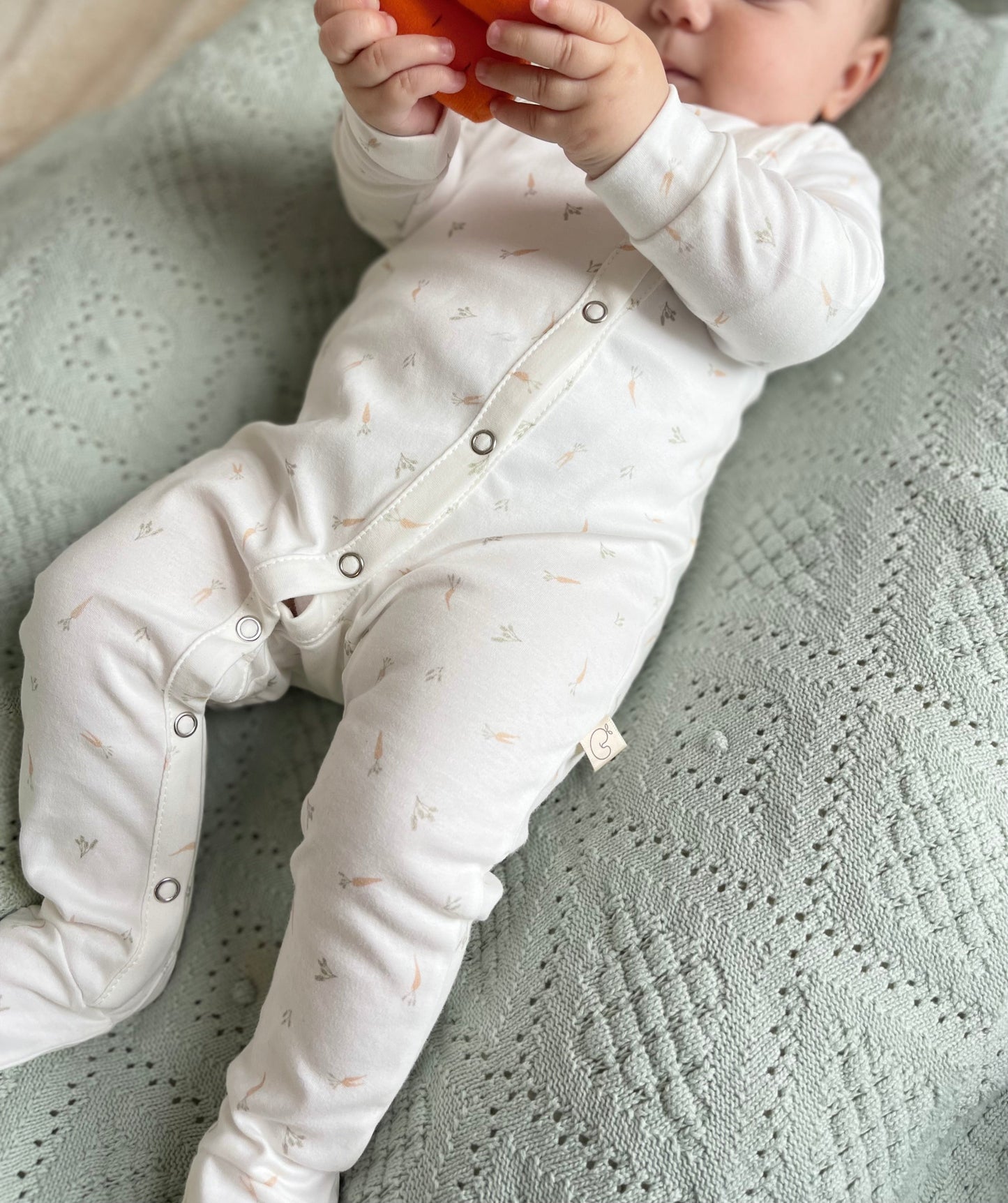 KAI FOOT Carrots