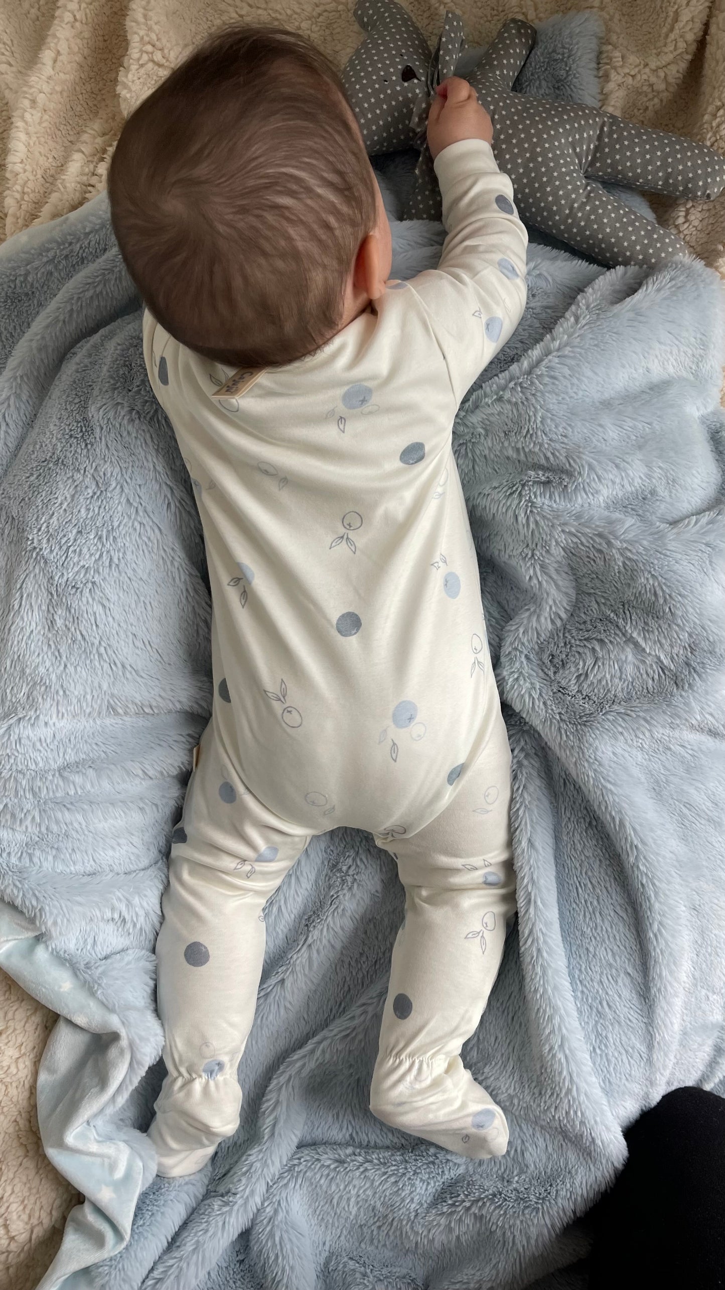 KAI FOOT Blueberries