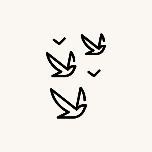 BIRDS